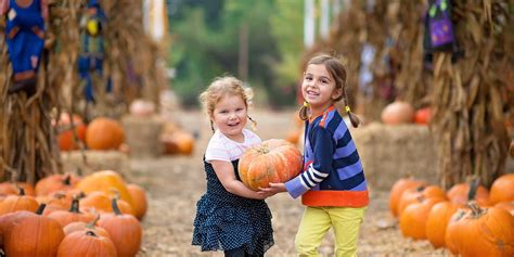 uncle shucks corn maze and pumpkin patch reviews